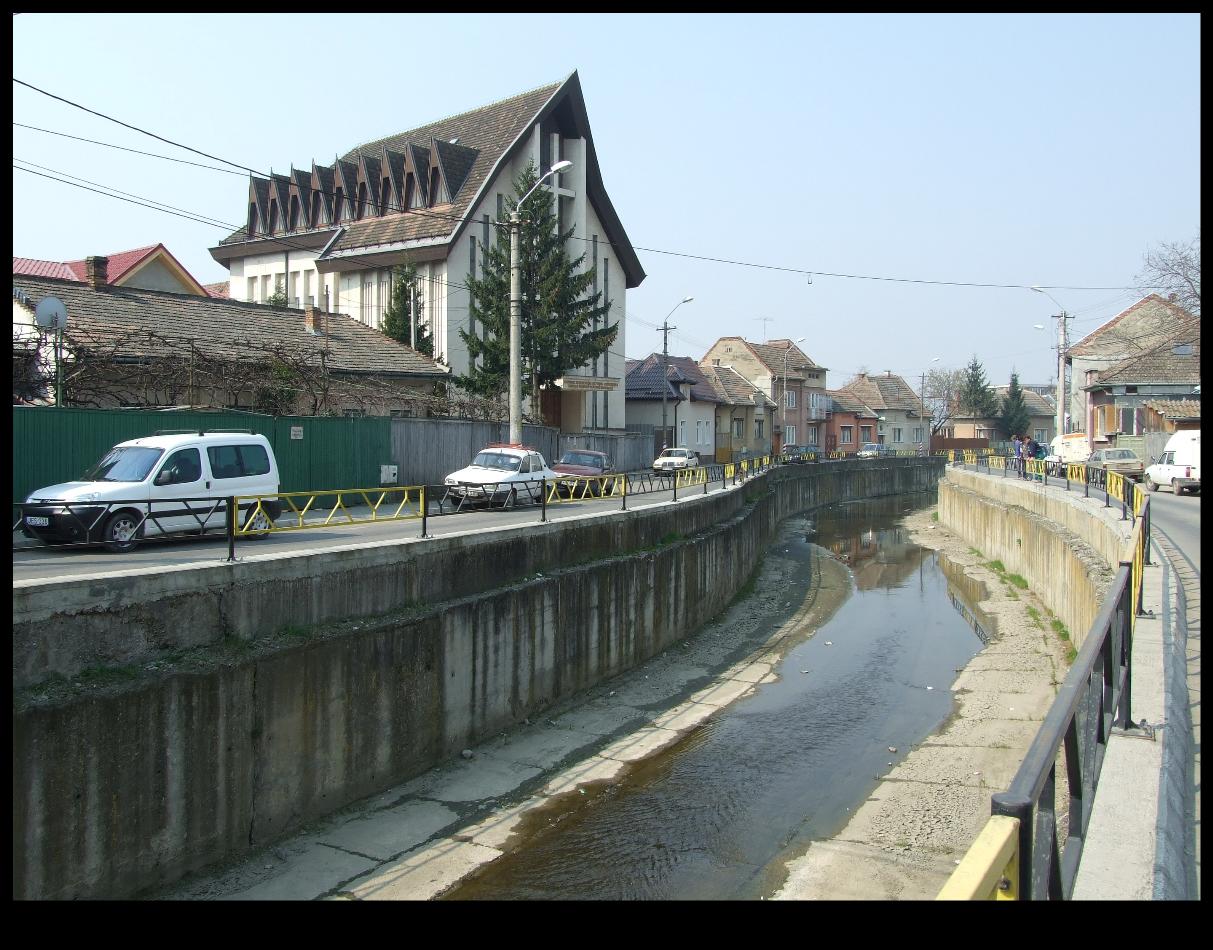 Targu Mures